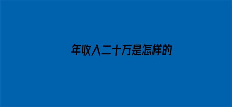 年收入二十万是怎样的水平